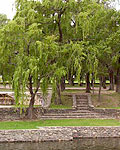 Parque, Villa Rumipal, Embalse de Río Tercero, Calamuchita, Córdoba, Argentina.