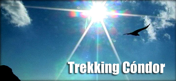 Título: Trekking Cóndor: Vuelo del Cóndor sobre el cielo azul, contraluz