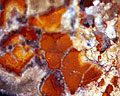 Close up de textura rojiza de minerales de Mina de los Cóndores San Luis