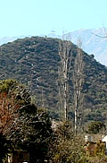 Paisaje de vegetación y cerro de fondo: Vía Crucis Loma Bola