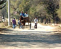 Carruaje a caballo y bicicletas transitando la calle de Luyaba